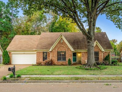 3335 Acree St, Bartlett, TN, 38134