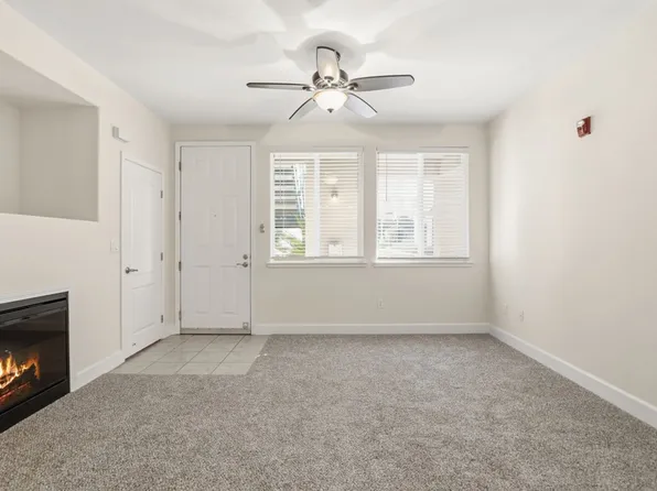 The Phoenician Collection