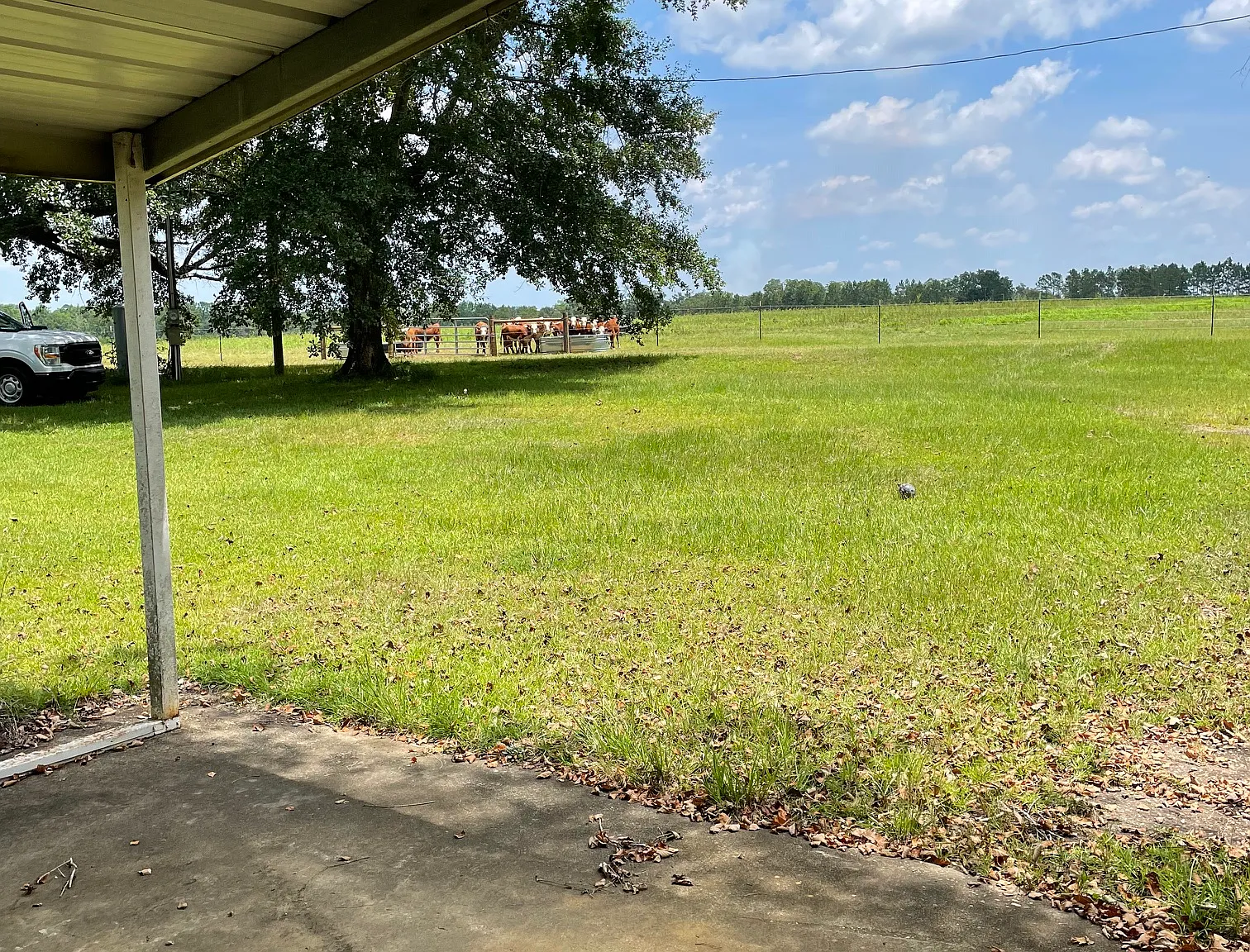 3 bed, 1517 sqft, $1,650 — Photo 1