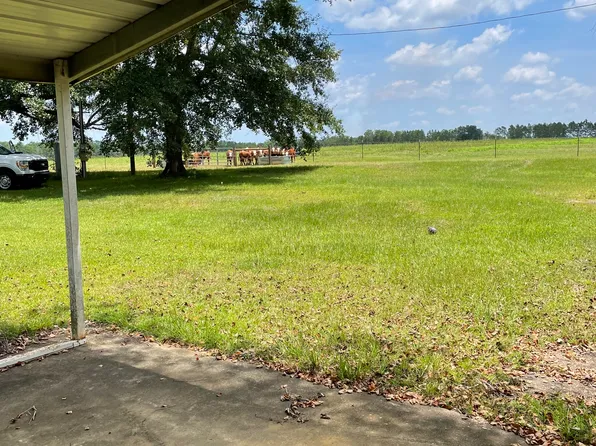 111 Kelly Collins Rd, Climax, GA 39834