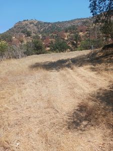 38472 Willowood Ln, Squaw Valley, CA, 93675