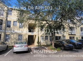 5035 Sunridge Palms Dr #101-3, Tampa, FL 33617