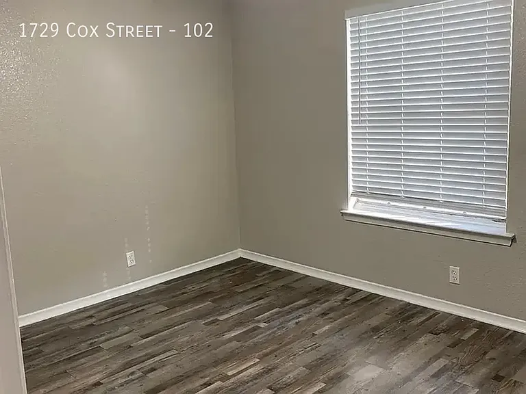 1729 Cox St — Photo 81