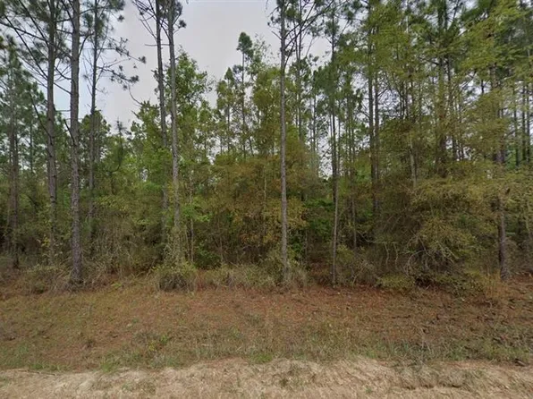 LOT 72 Blocker Rd, Marianna, FL 32446