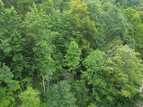 5th image of 1531 Easter Hollow Rd
