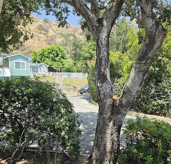 730 Orange Dr — Photo 37