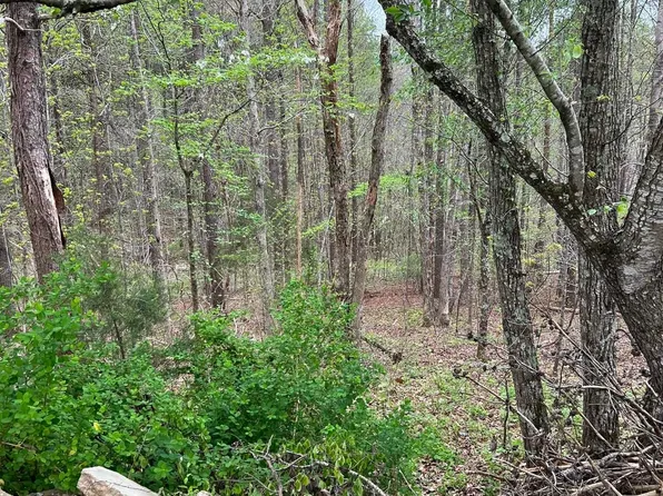 97K Pinehaven Dr, Tuscumbia, AL 35674