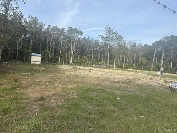 11029 W London Ln, Homosassa, FL 34448
