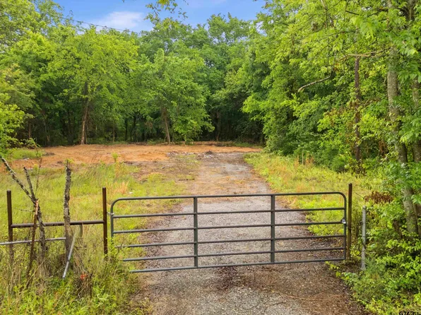 1734 Fm 2699, Quitman, TX 75783