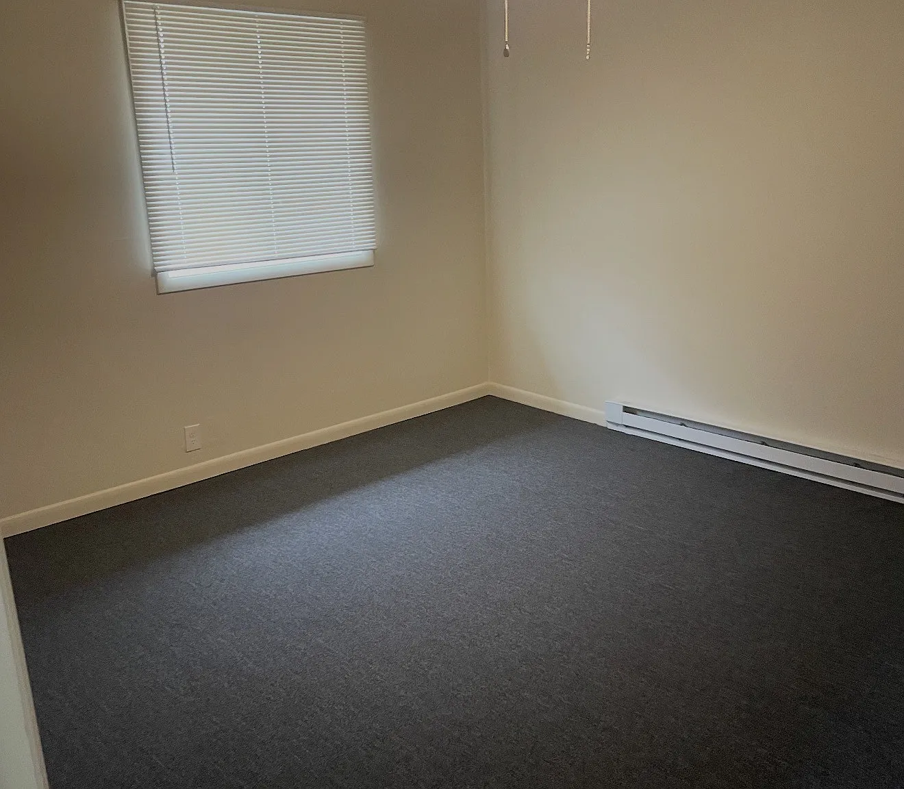 1 bed, 1.0 bath, 546 sqft, $1,300 — Photo 4