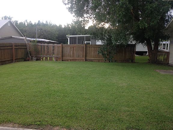 Back yard