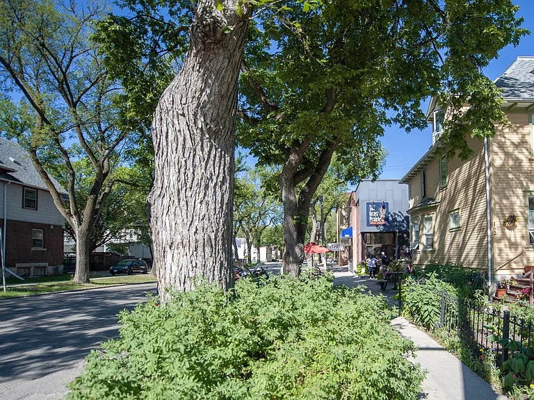 129 Lenore St #14 — Photo 34