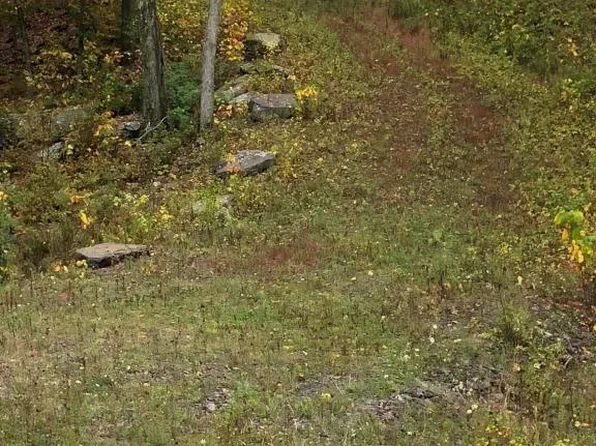 142 Manorview Dr, Dallas, PA 18612