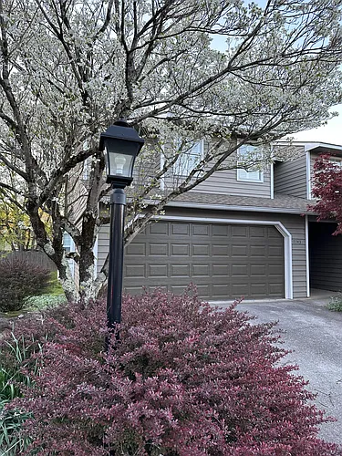 7743 Village Dr Photo 1