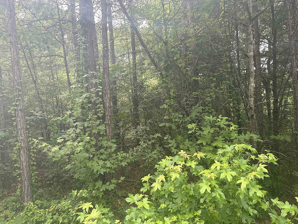 2nd image of 0 Pine Bluff Rd
