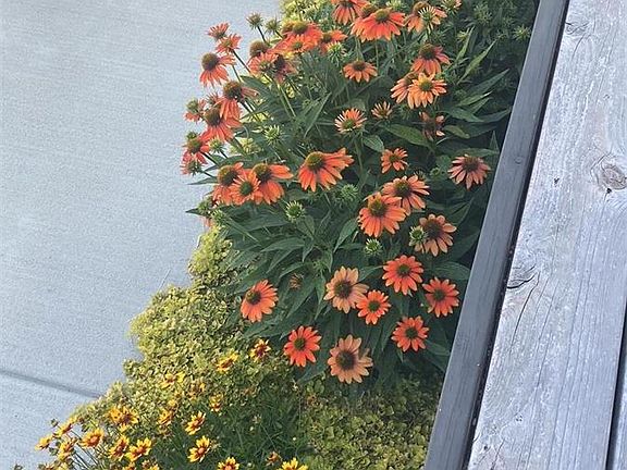 4th image of 4176 Folsom Ave