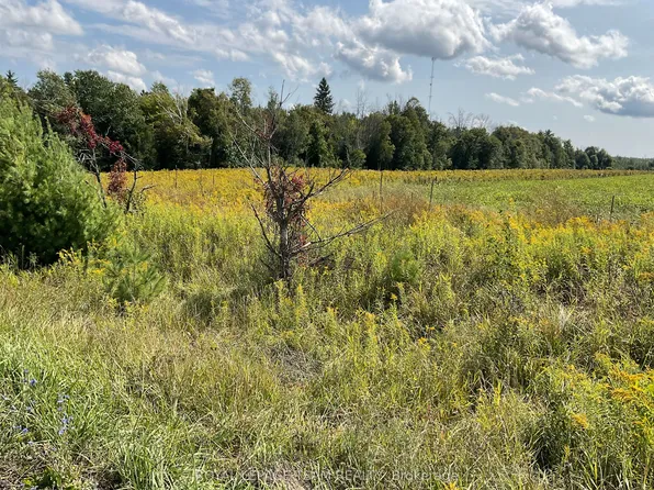 1211 Bellamy Rd, Mississippi Mills, ON K0A 2X0