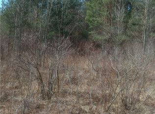 0 Gowans, Evans, NY 14006