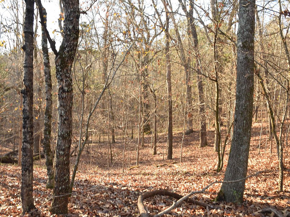 2nd image of 281 Deer Run Ridge Rd