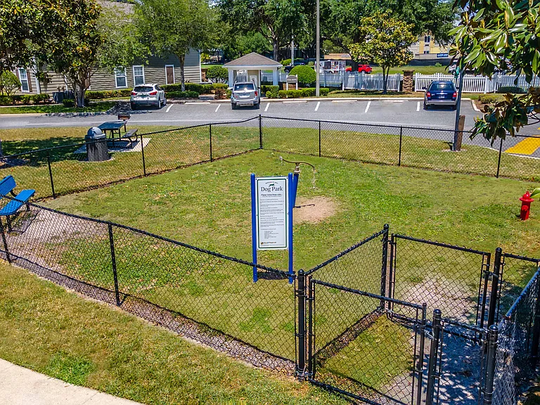 Dog Park