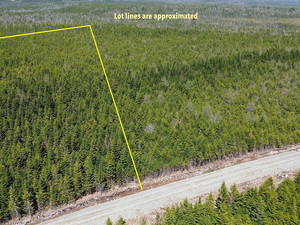 2nd image of 146 Squirrel Ln Lot 9