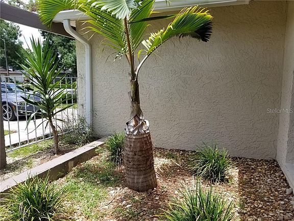 2nd image of 3672 Fairway Forest Cir