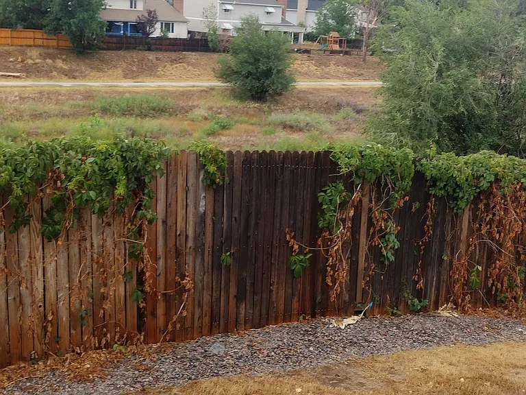 1370 S Idalia St #H — Photo 30