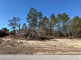 SW 135th Street Rd Lot 12, Ocala, FL 34473