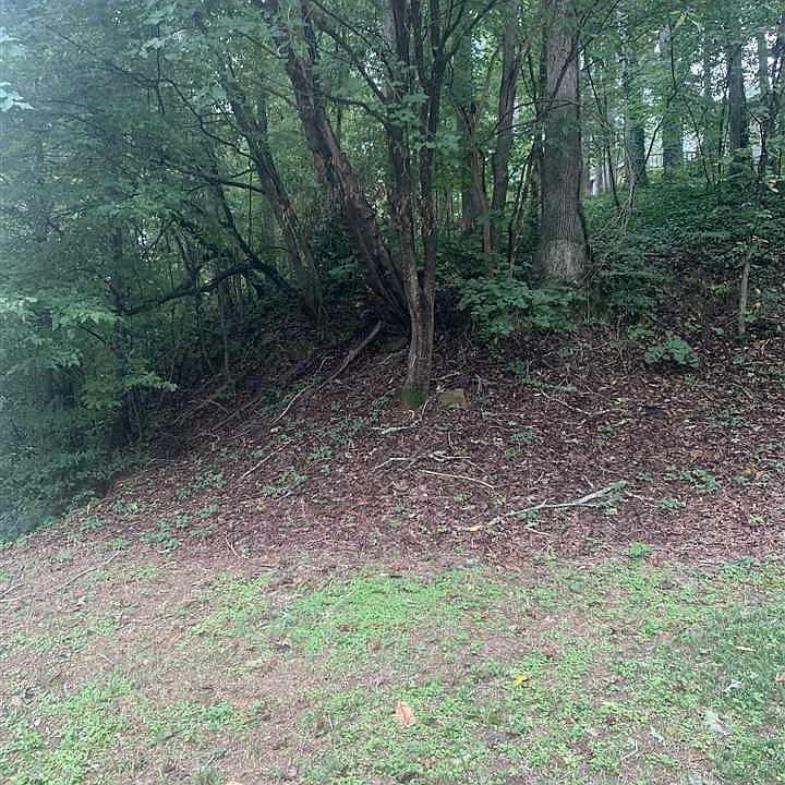 2nd image of 3530 Overton Rd Lot 1