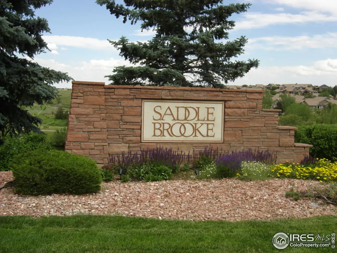 2 bed, 1224 sqft, $2,299 — Photo 3