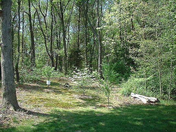 private area back of house 