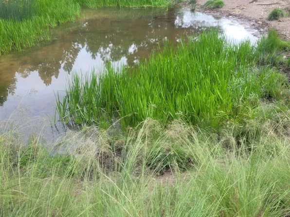 2 Agua Chiquita Rd Tract B2, Sacramento, NM 88347