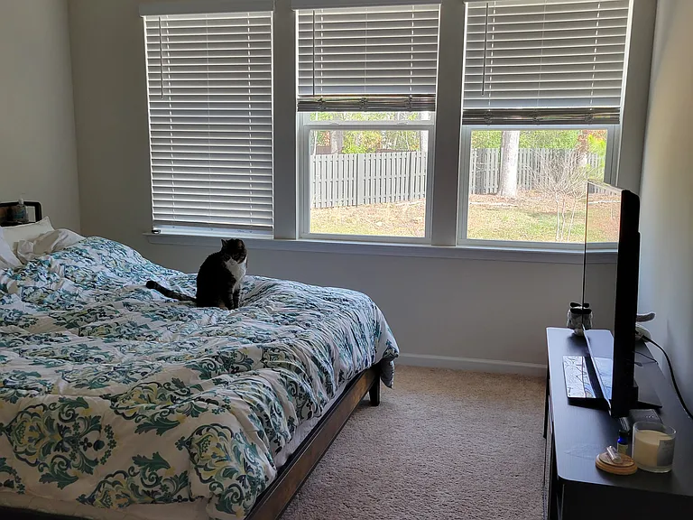 310 Cloudcroft Aly — Photo 2