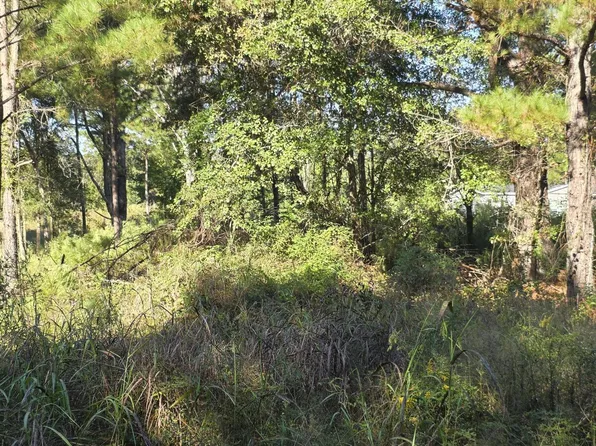 0 Rodeo Dr, Eutawville, SC 29048