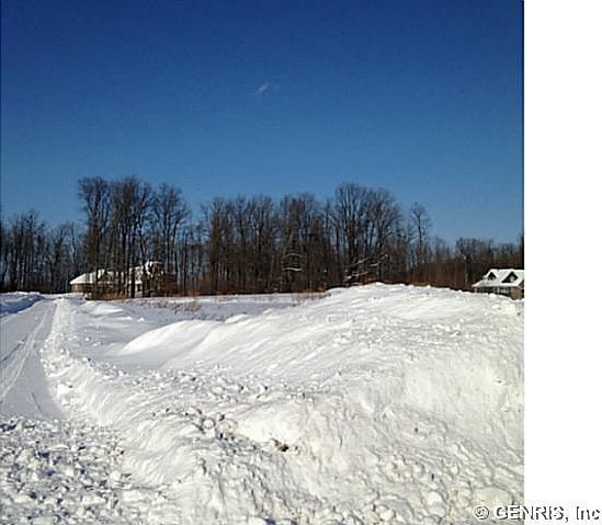 1st image of 4 Blackstone Dr
