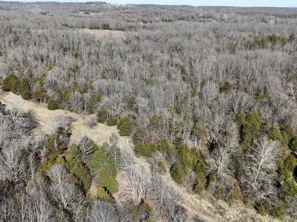 Tract 5 38 Highway, Hartville, MO 65667