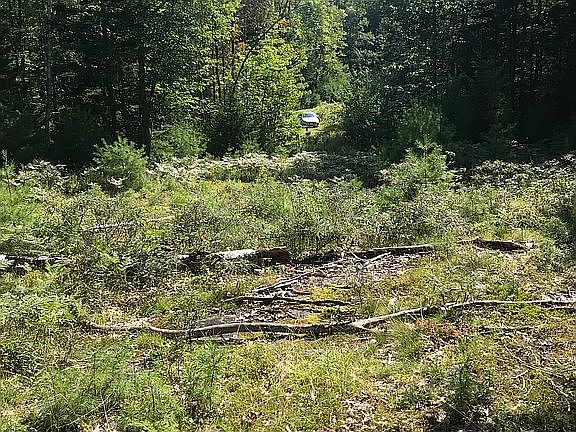 5th image of 29 State Rte 32 Lot 29