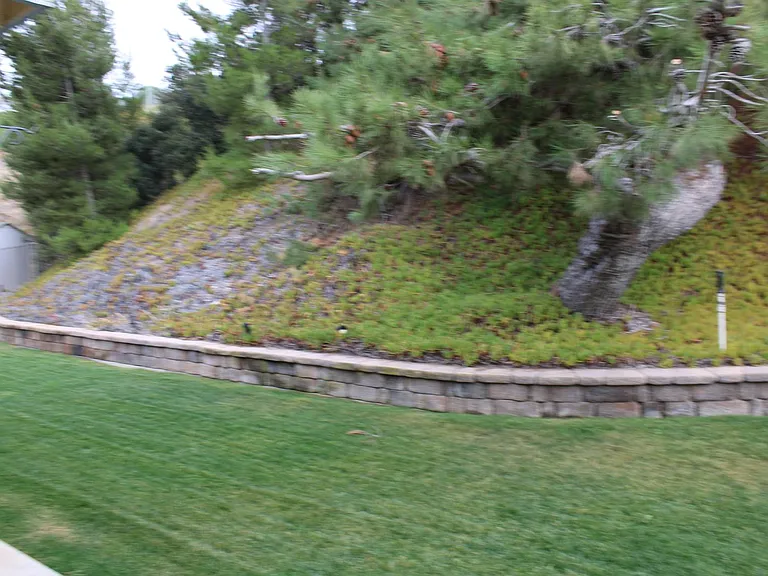 295 Camino Del Cerro Grande — Photo 39