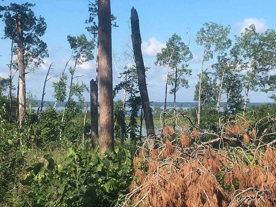 1st image of Camp Lincoln Rd