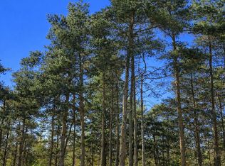 8832 Cedar Creek Dr, Petoskey, MI 49770