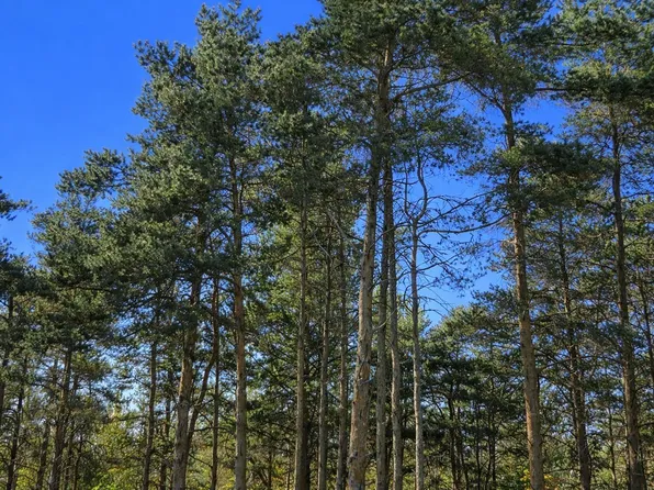 8832 Cedar Creek Dr, Petoskey, MI 49770