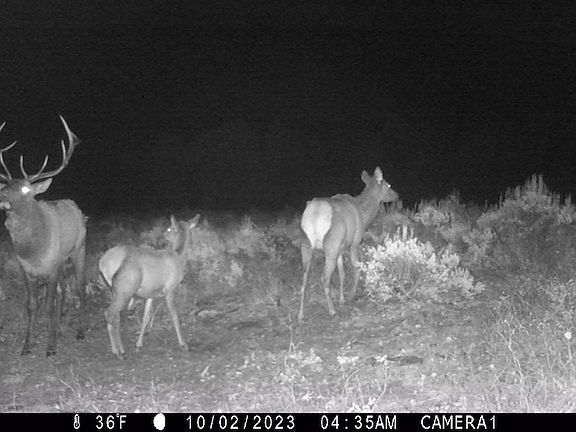 3rd image of County Road 305