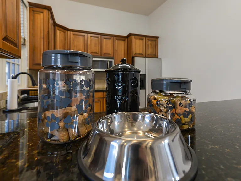 6385 Conifer Dr — Photo 36