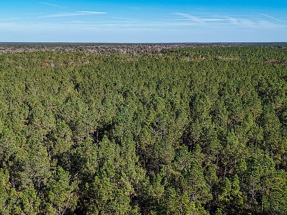 Compass South Land Sales Louisiana Old Seale Road 18