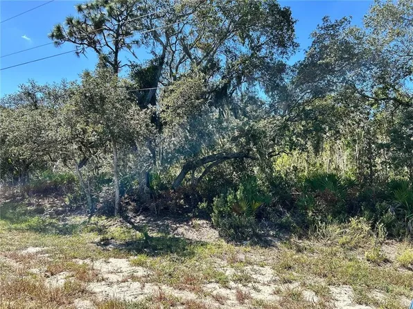 Woodstork Way Lot 58, Frostproof, FL 33843
