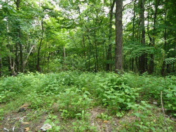 616 Star Point Rd Lot 4 & 5, Celina, TN 38551