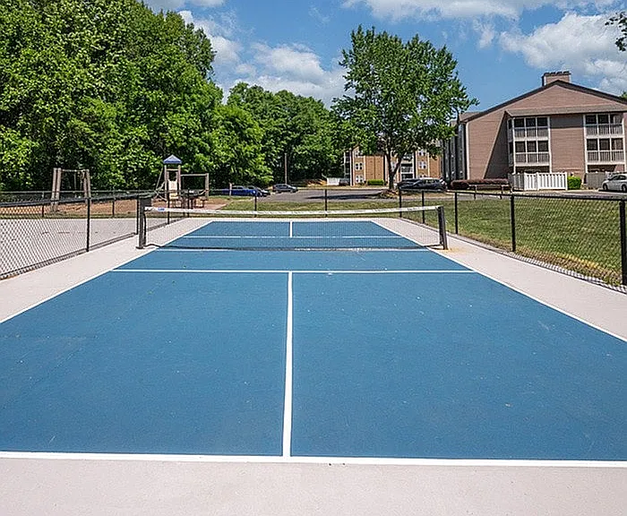 Pickleball Court