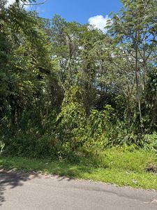 Anthurium Dr Lot 23, Pahoa, HI, 96778