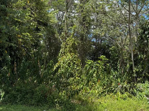 Anthurium Dr Lot 23, Pahoa, HI 96778