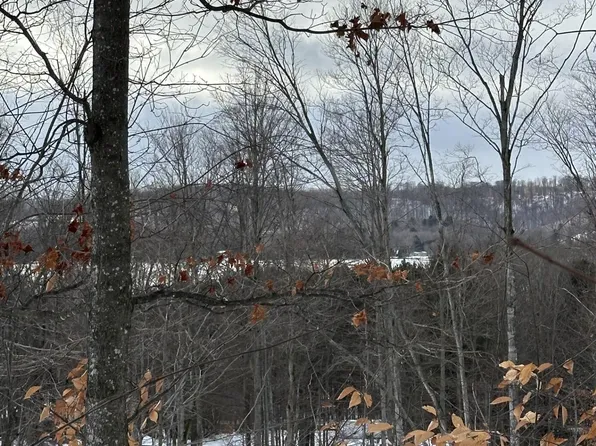 S Lime Lake Rd, Cedar, MI 49621